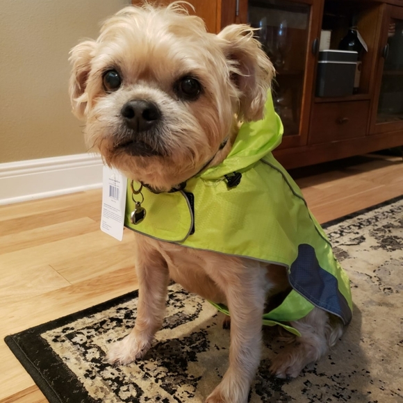❤️😍 Host Pick! 🐕❤️  Rain Jacket With Reflective Accents L - Picture 5 of 12